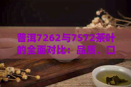 普洱7262与7572茶叶的全面对比：品质、口感和价格哪个更胜一筹？