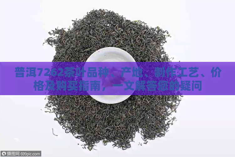 普洱7262茶叶品种、产地、制作工艺、价格及购买指南，一文解答您的疑问