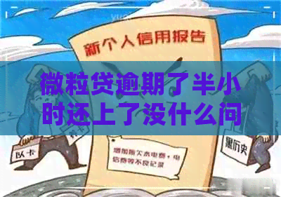 微粒贷逾期了半小时还上了没什么问题吧