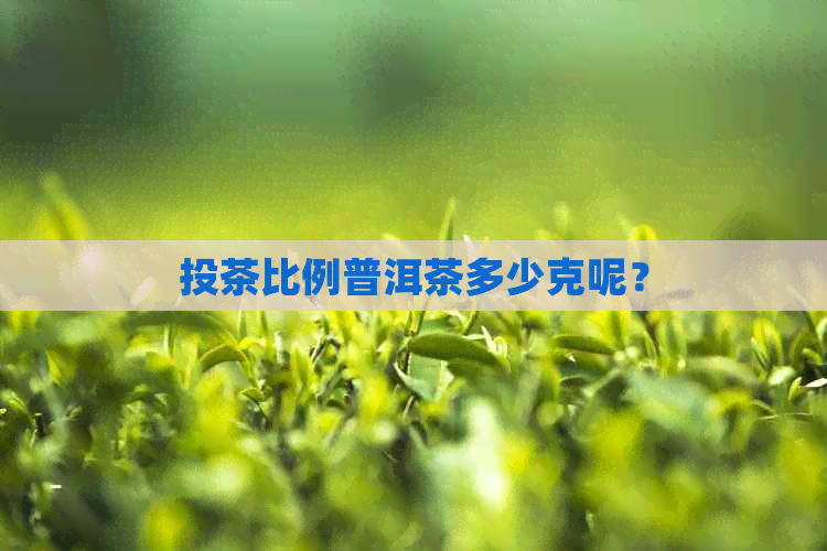 投茶比例普洱茶多少克呢？