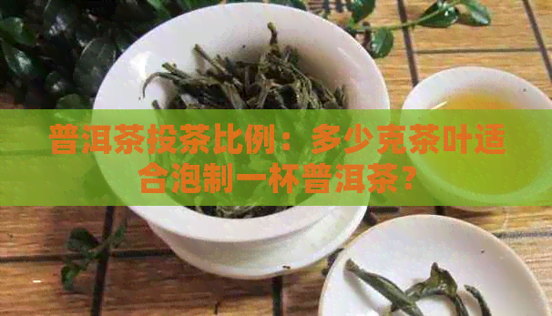 普洱茶投茶比例：多少克茶叶适合泡制一杯普洱茶？