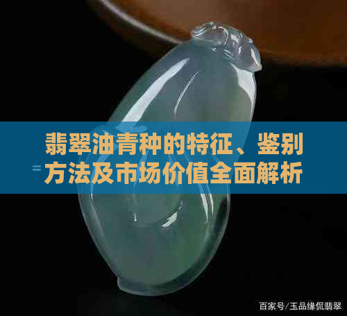 翡翠油青种的特征、鉴别方法及市场价值全面解析