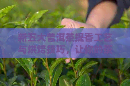 新五大普洱茶提香工艺与烘焙技巧，让你的茶香更浓