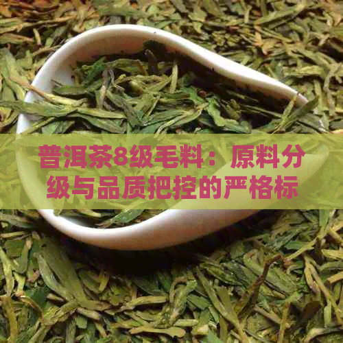 普洱茶8级毛料：原料分级与品质把控的严格标准