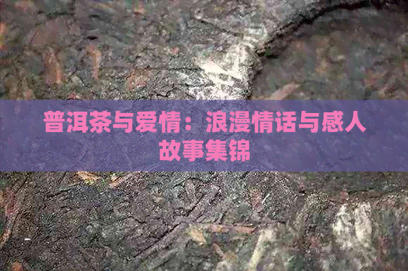 普洱茶与爱情：浪漫情话与感人故事集锦