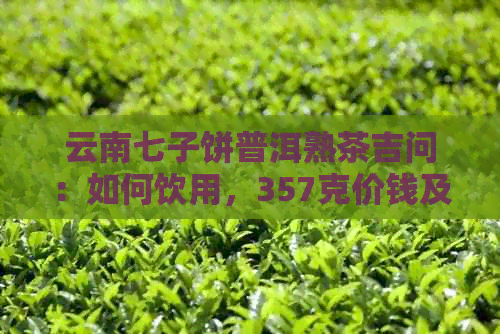 云南七子饼普洱熟茶吉问：如何饮用，357克价钱及价格表，是熟普还是生普？