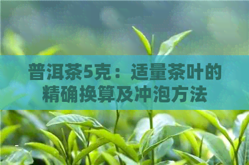 普洱茶5克：适量茶叶的精确换算及冲泡方法