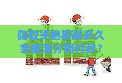 微粒贷逾期后多久会取消分期付款？了解逾期影响和解决方案