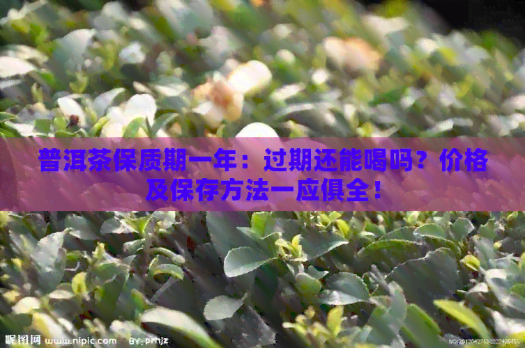 普洱茶保质期一年：过期还能喝吗？价格及保存方法一应俱全！