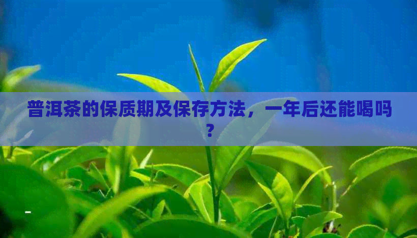 普洱茶的保质期及保存方法，一年后还能喝吗？