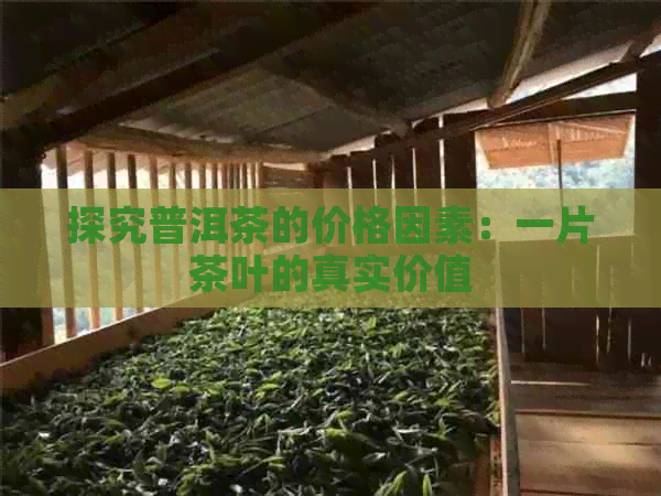 探究普洱茶的价格因素：一片茶叶的真实价值