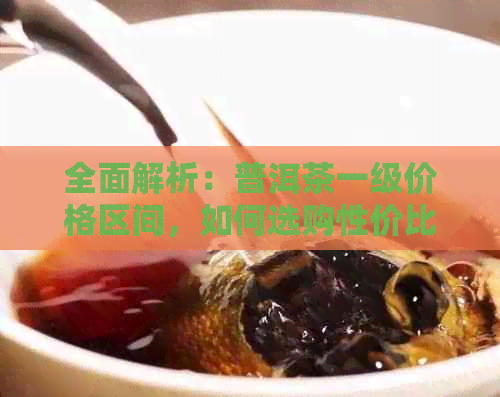 全面解析：普洱茶一级价格区间，如何选购性价比高的茶叶？