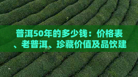 普洱50年的多少钱：价格表、老普洱、珍藏价值及品饮建议