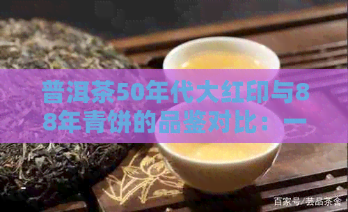 普洱茶50年代大红印与88年青饼的品鉴对比：一场时光之旅