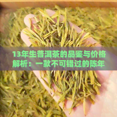 13年生普洱茶的品鉴与价格解析：一款不可错过的陈年好茶