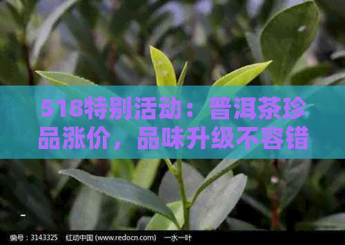 518特别活动：普洱茶珍品涨价，品味升级不容错过！