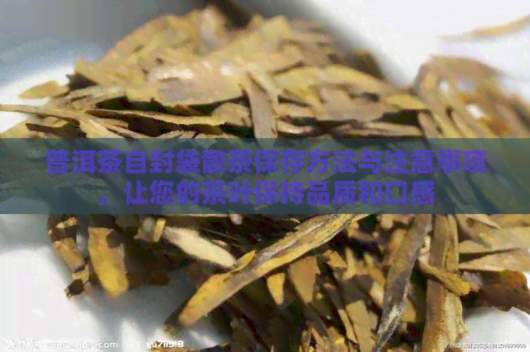 普洱茶自封袋散茶保存方法与注意事项，让您的茶叶保持品质和口感