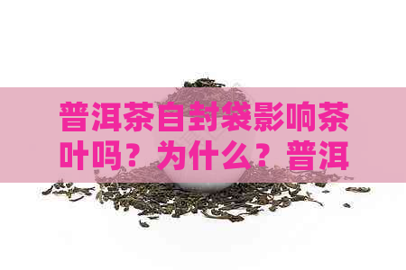 普洱茶自封袋影响茶叶吗？为什么？普洱茶用自封袋好还是纸盒好？