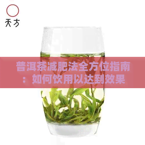 普洱茶减肥法全方位指南：如何饮用以达到效果