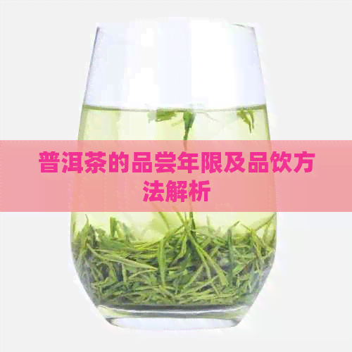 普洱茶的品尝年限及品饮方法解析