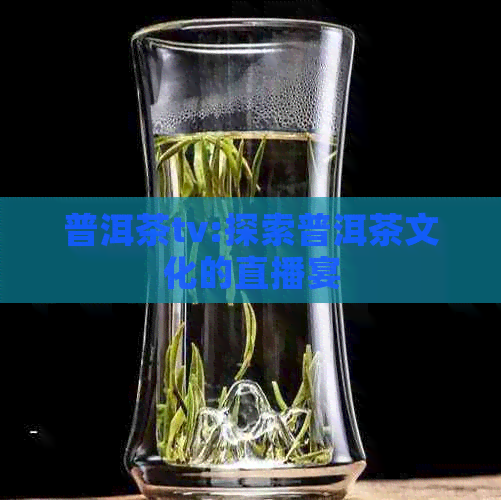 普洱茶tv:探索普洱茶文化的直播宴