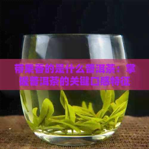 带果香的是什么普洱茶：掌握普洱茶的关键口感特征