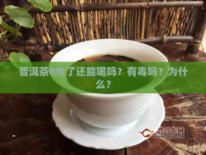 普洱茶8年了还能喝吗？有吗？为什么？