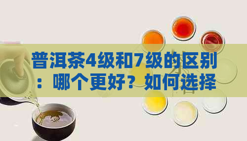 普洱茶4级和7级的区别：哪个更好？如何选择适合自己口味的普洱茶等级？