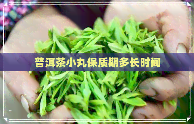 普洱茶小丸保质期多长时间