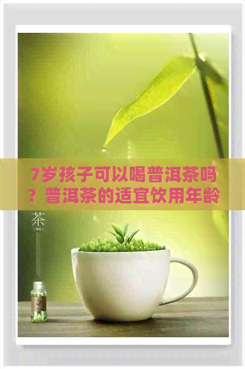 7岁孩子可以喝普洱茶吗？普洱茶的适宜饮用年龄及注意事项全解析