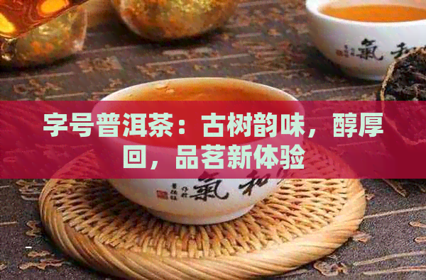 字号普洱茶：古树韵味，醇厚回，品茗新体验