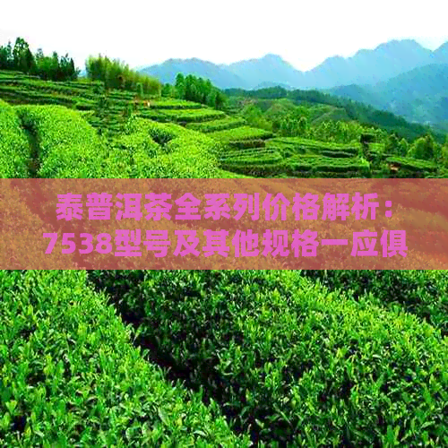 泰普洱茶全系列价格解析：7538型号及其他规格一应俱全，助你轻松选购！