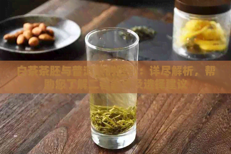 白茶茶胚与普洱茶的区别：详尽解析，帮助您了解二者差异及选择建议