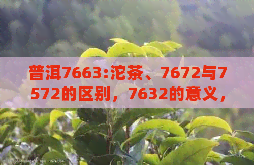 普洱7663:沱茶、7672与7572的区别，7632的意义，以及7668和7692的含义。