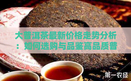 大普洱茶最新价格走势分析：如何选购与品鉴高品质普洱茶？