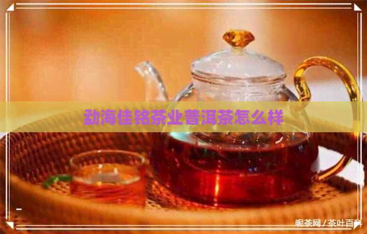 勐海佳铭茶业普洱茶怎么样