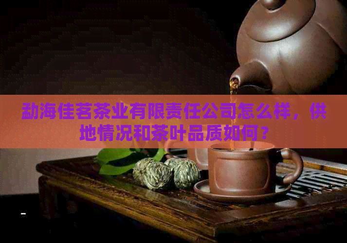 勐海佳茗茶业有限责任公司怎么样，供地情况和茶叶品质如何？