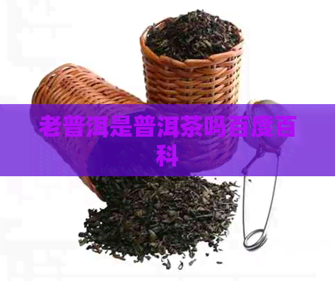 老普洱是普洱茶吗百度百科