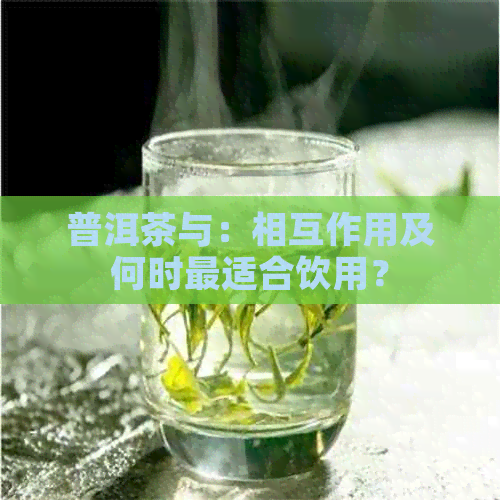 普洱茶与：相互作用及何时最适合饮用？