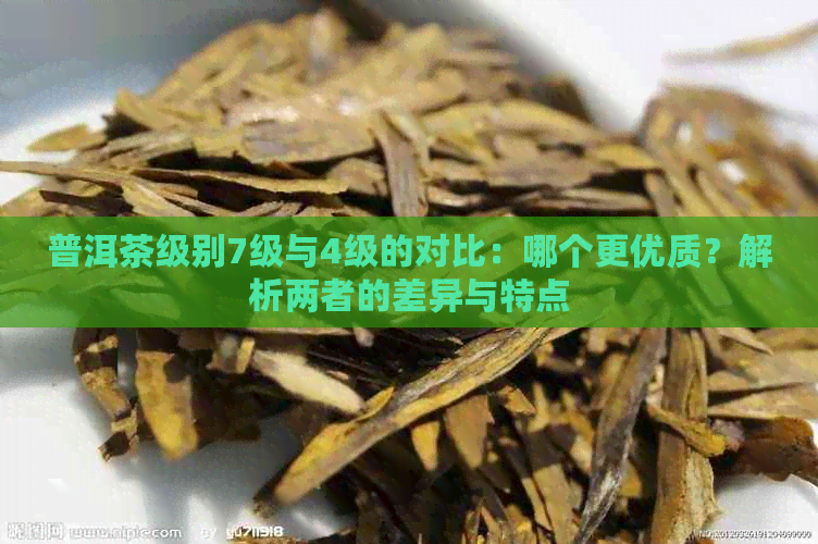 普洱茶级别7级与4级的对比：哪个更优质？解析两者的差异与特点