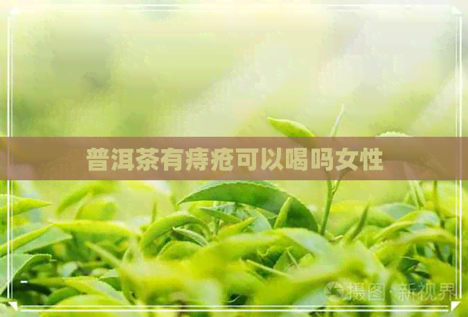 普洱茶有痔疮可以喝吗女性