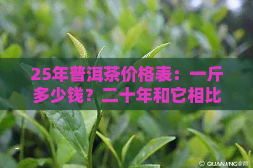 25年普洱茶价格表：一斤多少钱？二十年和它相比呢？