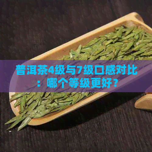 普洱茶4级与7级口感对比：哪个等级更好？