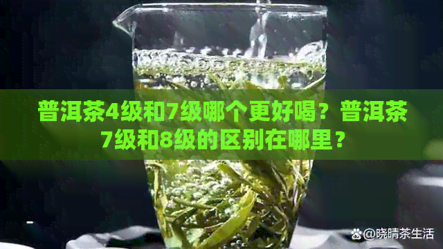 普洱茶4级和7级哪个更好喝？普洱茶7级和8级的区别在哪里？