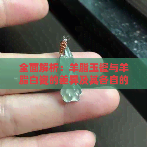 全面解析：羊脂玉瓷与羊脂白瓷的差异及其各自的优缺点