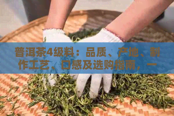 普洱茶4级料：品质、产地、制作工艺、口感及选购指南，一次解决您的疑问