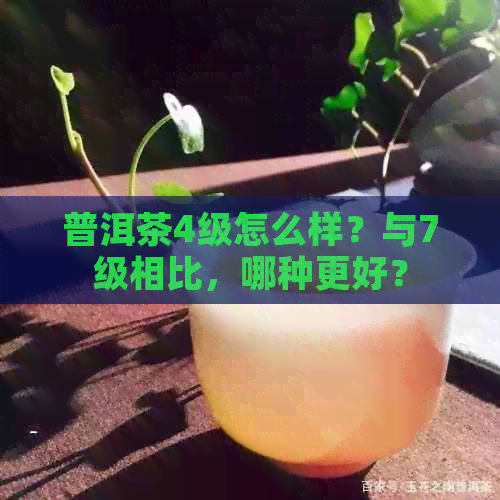 普洱茶4级怎么样？与7级相比，哪种更好？