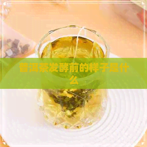 普洱茶发酵前的样子是什么