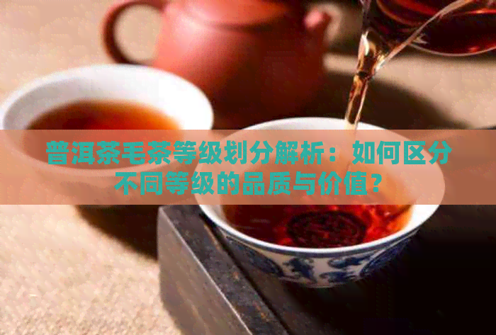 普洱茶毛茶等级划分解析：如何区分不同等级的品质与价值？