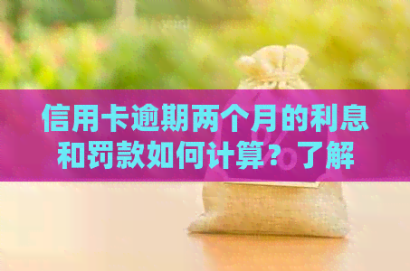 信用卡逾期两个月的利息和罚款如何计算？了解完整的还款指南